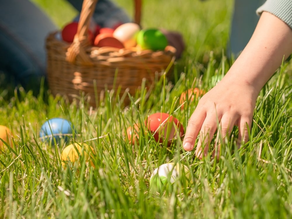 shutterstock_2280453325-1