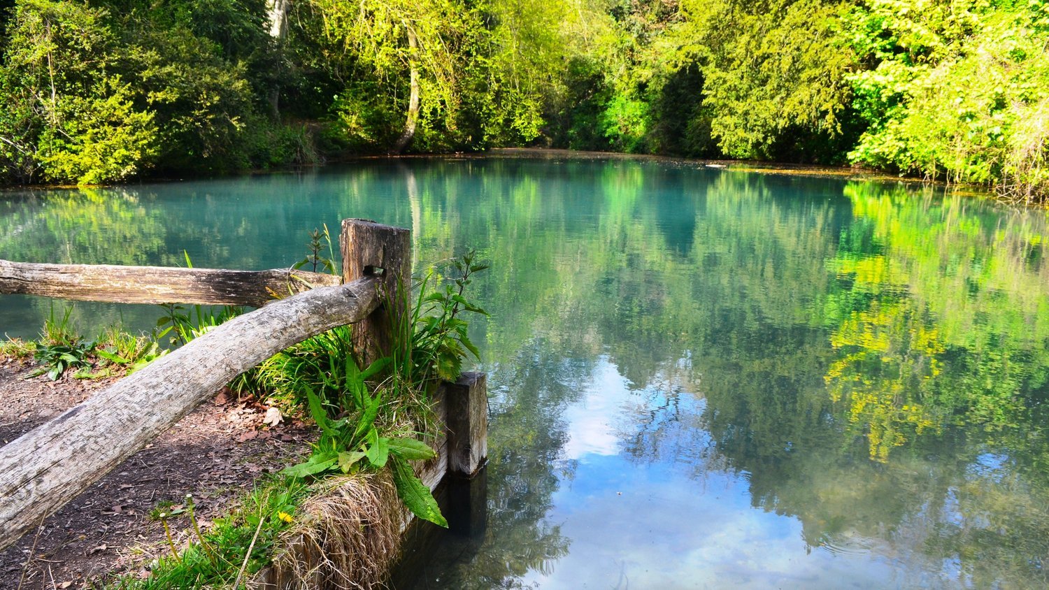 Silent+Pool,+Albury,+Surrey+-+Matthew+Williams+-+reduced