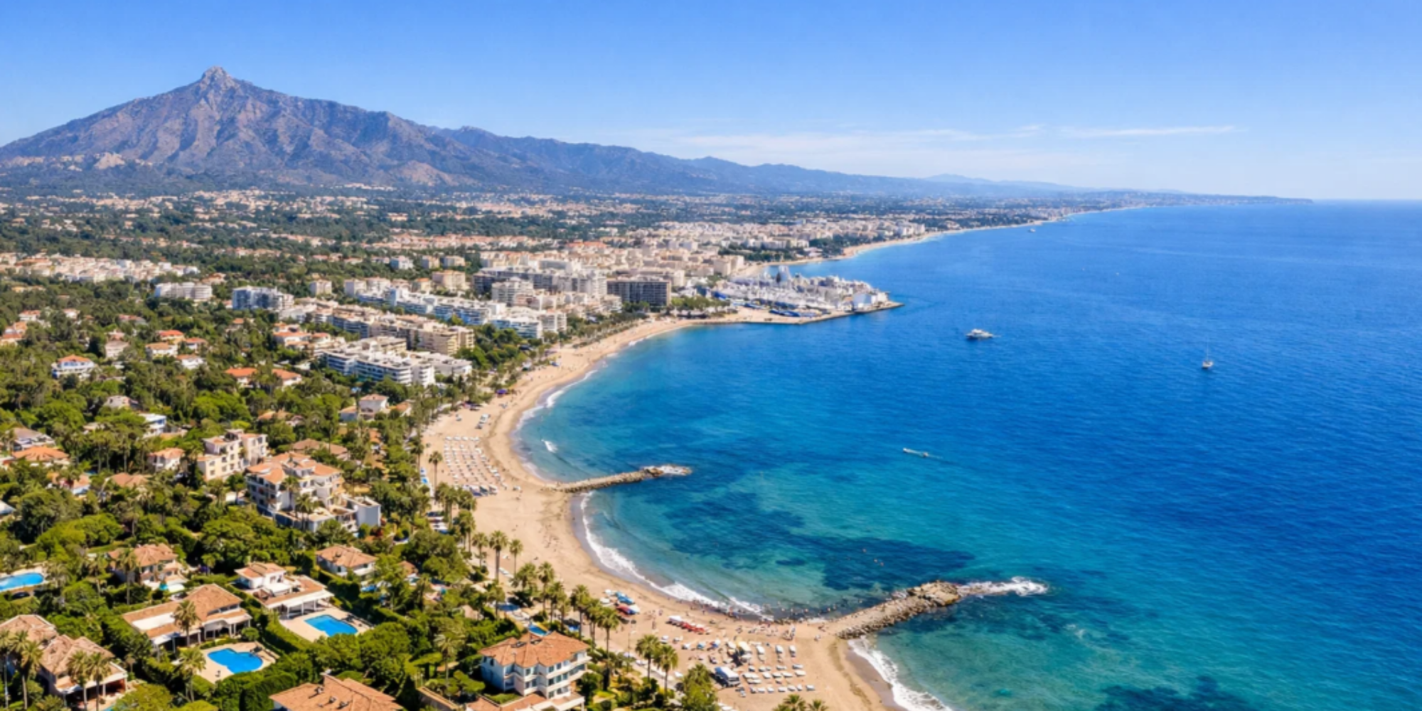 Untitled design (38)