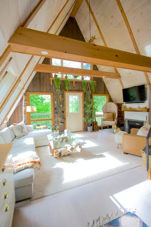 Light, open space apartment with wooden beams and hanging plants