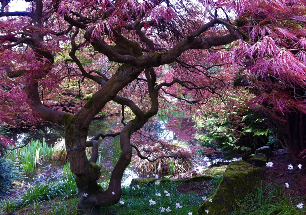 shutterstock_1429240502