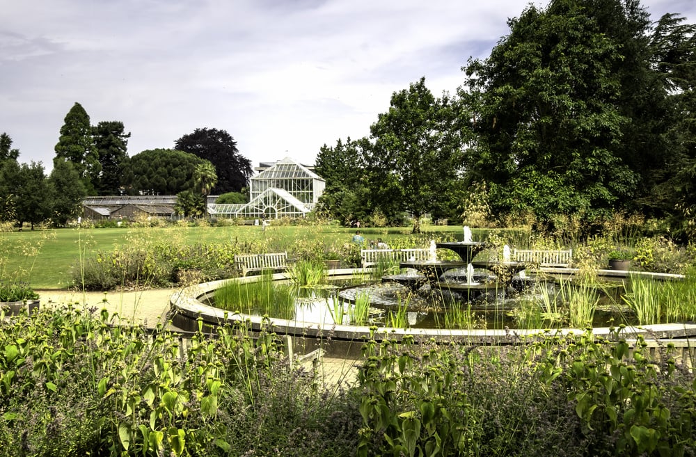 shutterstock_148167311