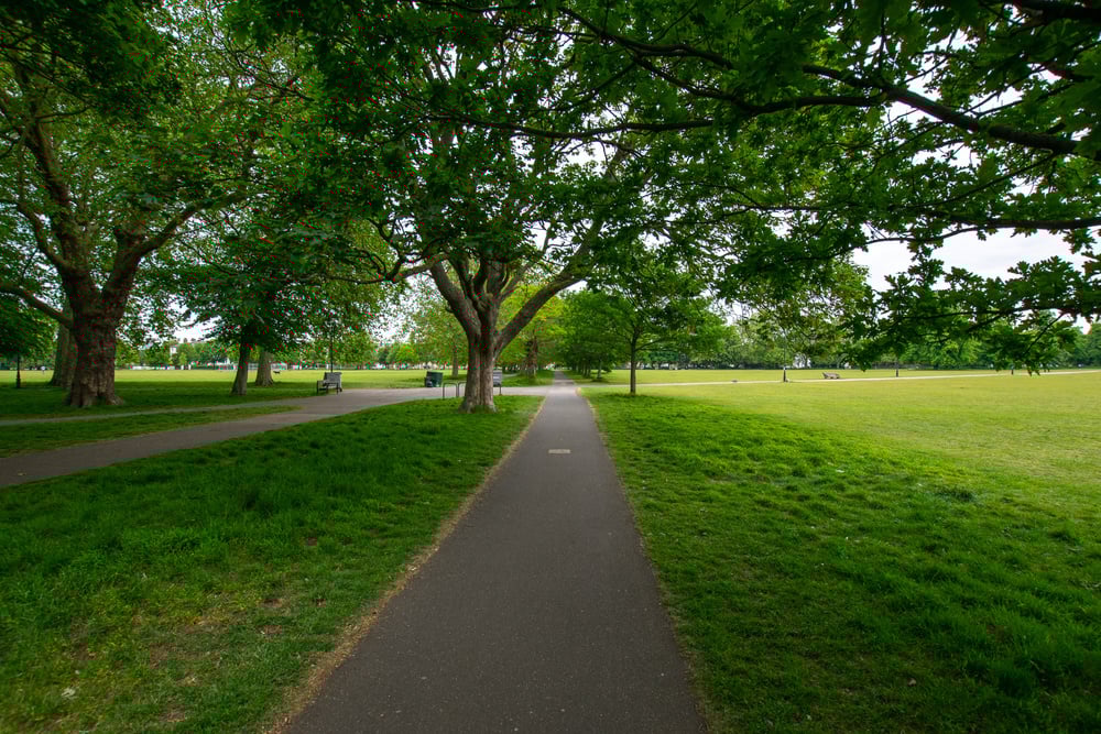 shutterstock_1737925916