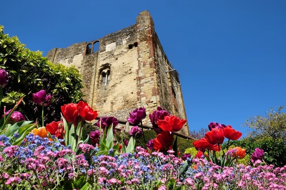 shutterstock_2096952898