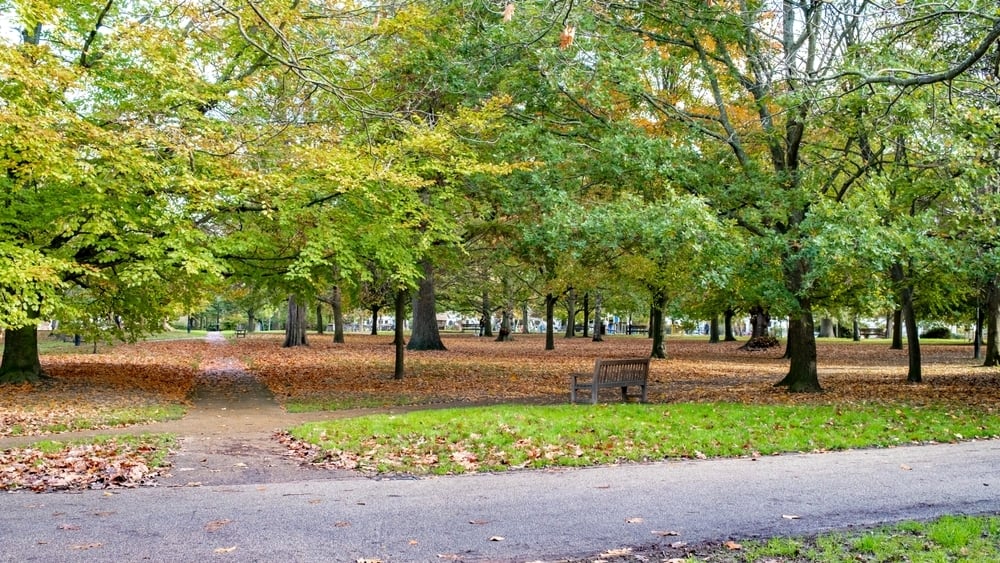 shutterstock_2222061639