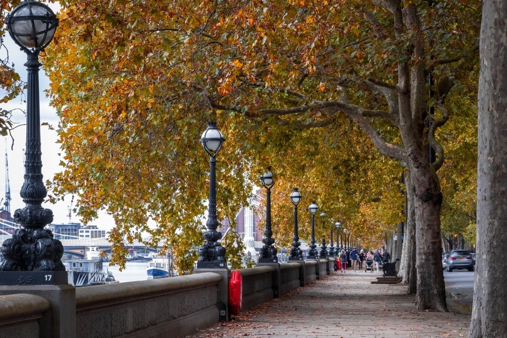 shutterstock_2304458693-1