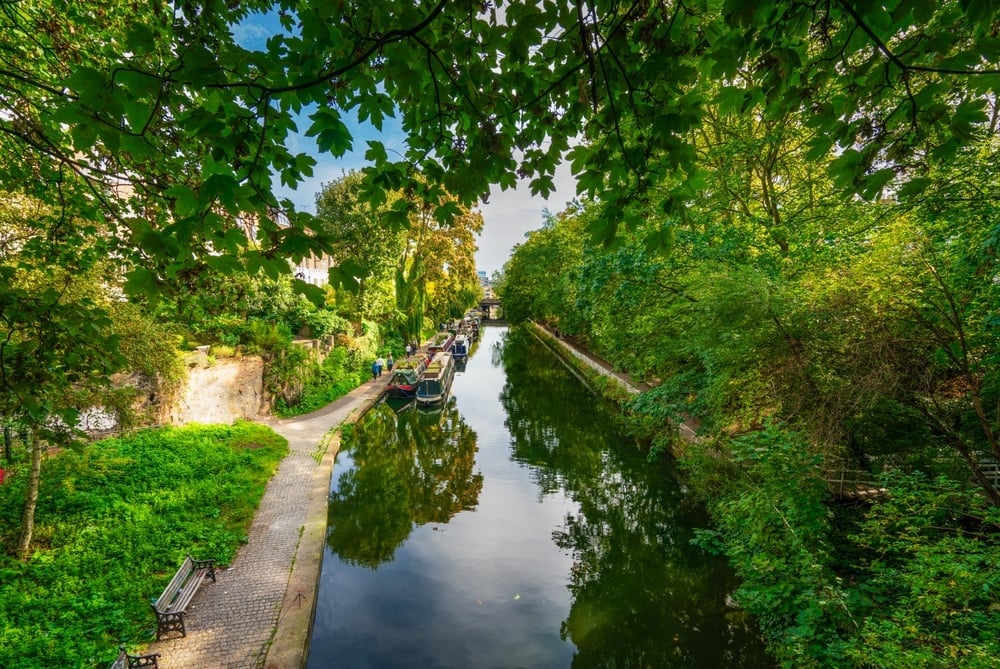 shutterstock_2374255173