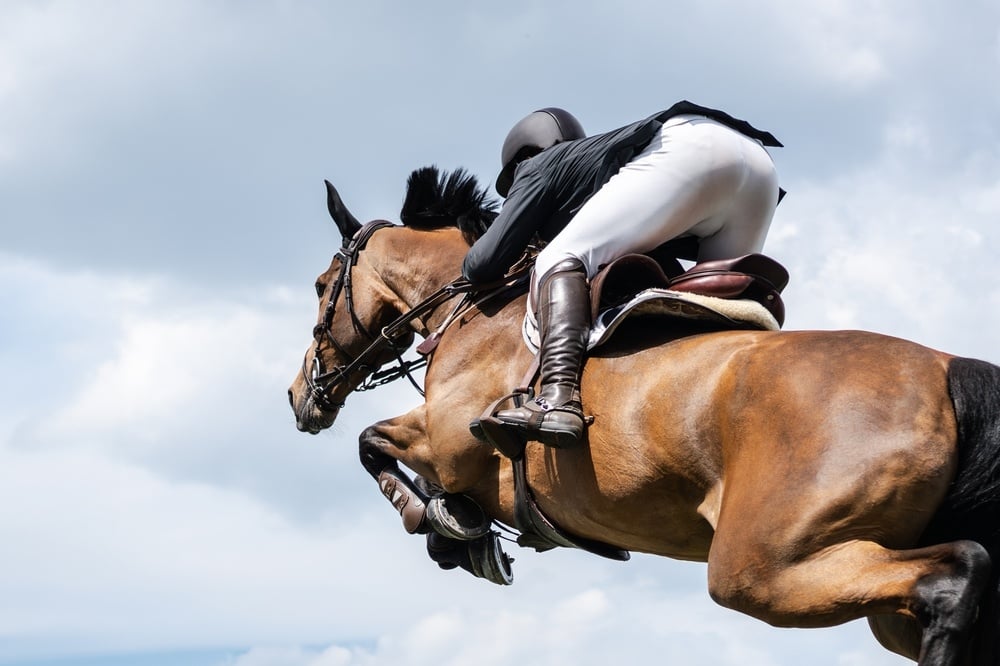 shutterstock_2416906839