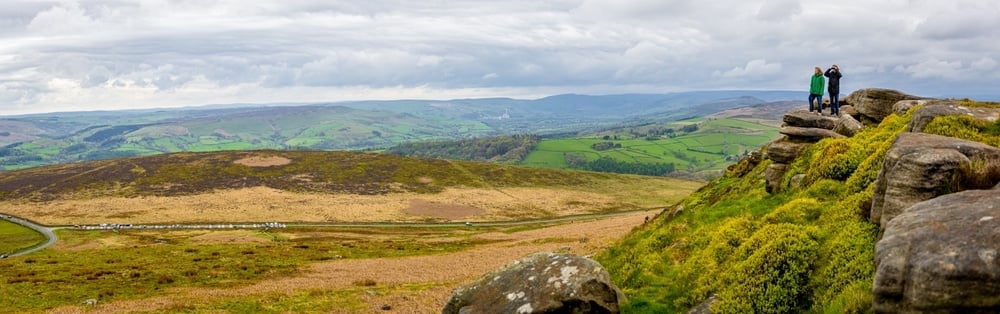 shutterstock_2463739059