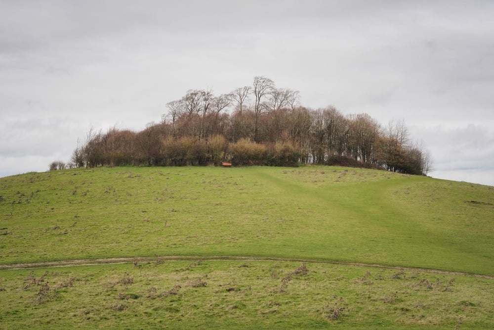 shutterstock_2482018493