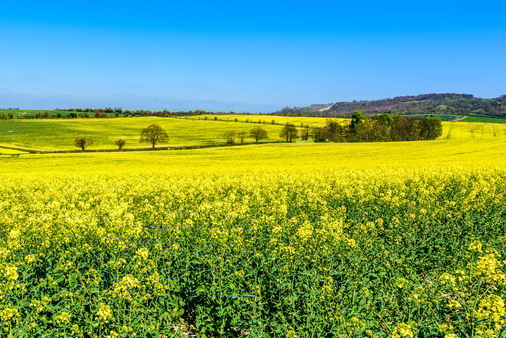 shutterstock_272281724-1