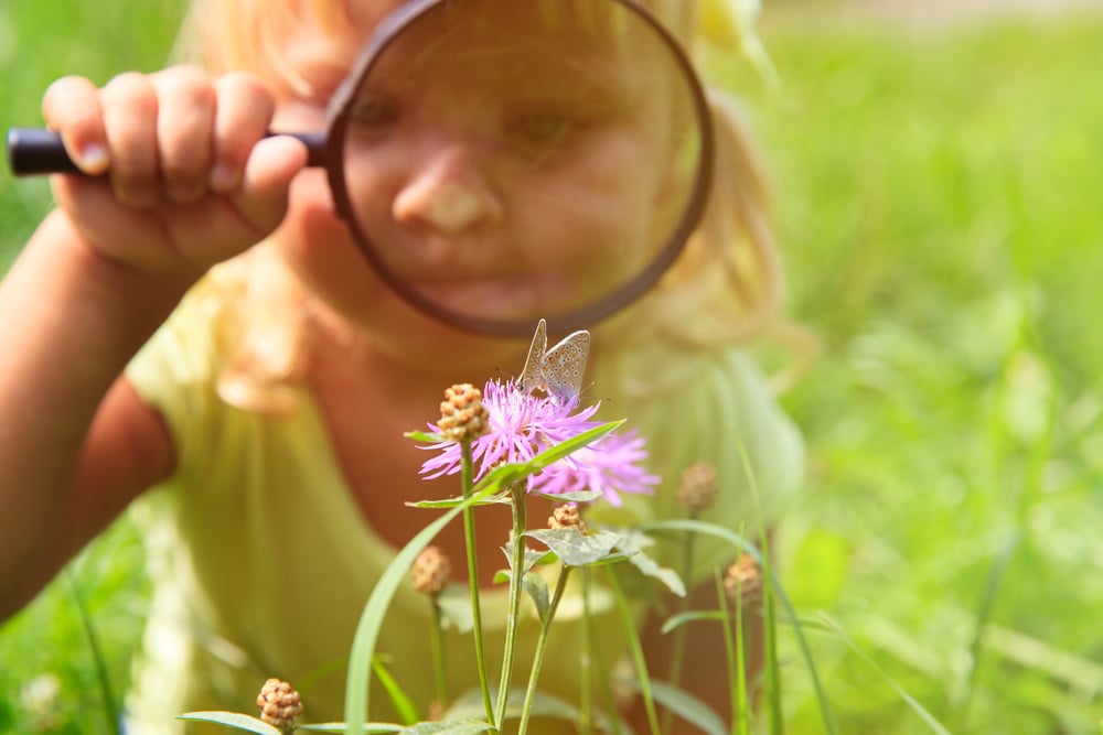 shutterstock_472462102-1