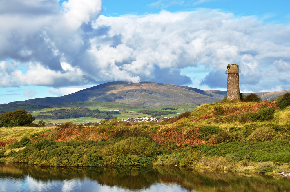 Unveiling the Charm: Fun Facts About Copeland, UK